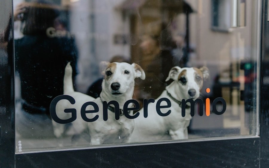 Unlocking the Power of User Generated Content Agency